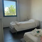 Aloe *